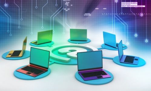 計(jì)算機(jī)網(wǎng)絡(luò)安全管理的重要性與信息安全軟件開發(fā)